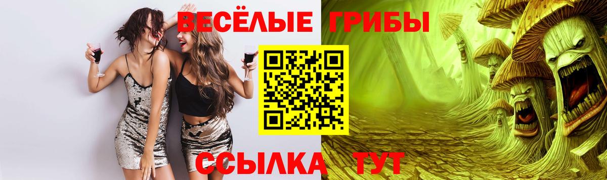 Псилоцибиновые грибы прущие грибы Лянтор
