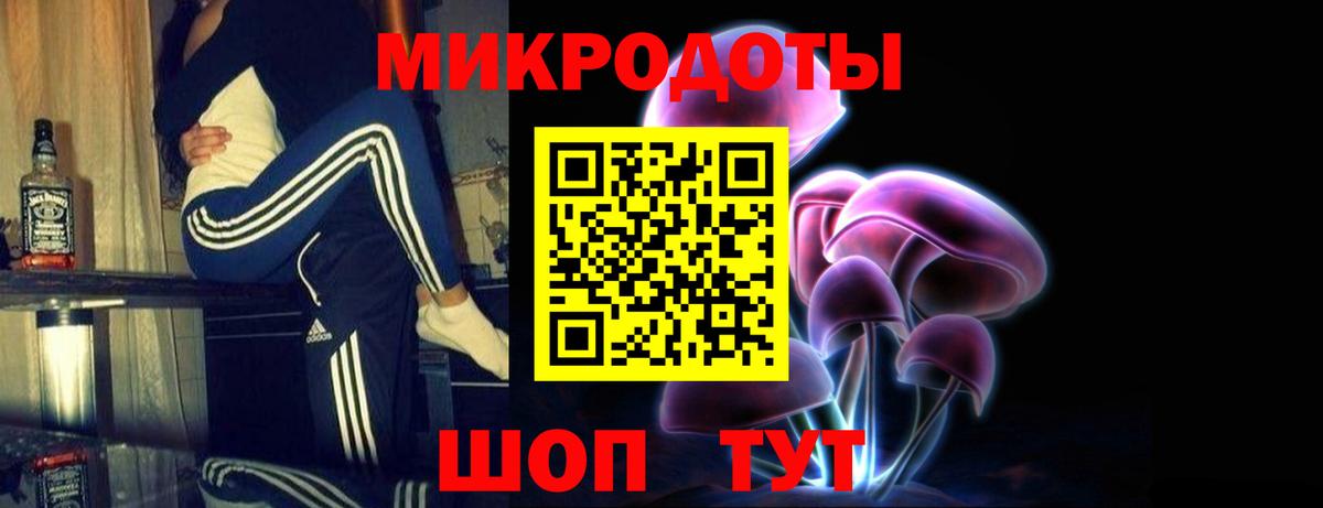 Лянтор  Псилоцибиновые грибы Psilocybe  Вход с VPN 